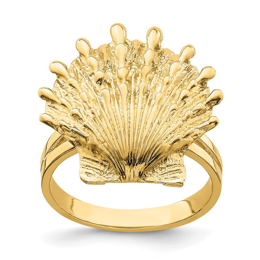 14K Yellow Gold Lion's Paw Shell Ring