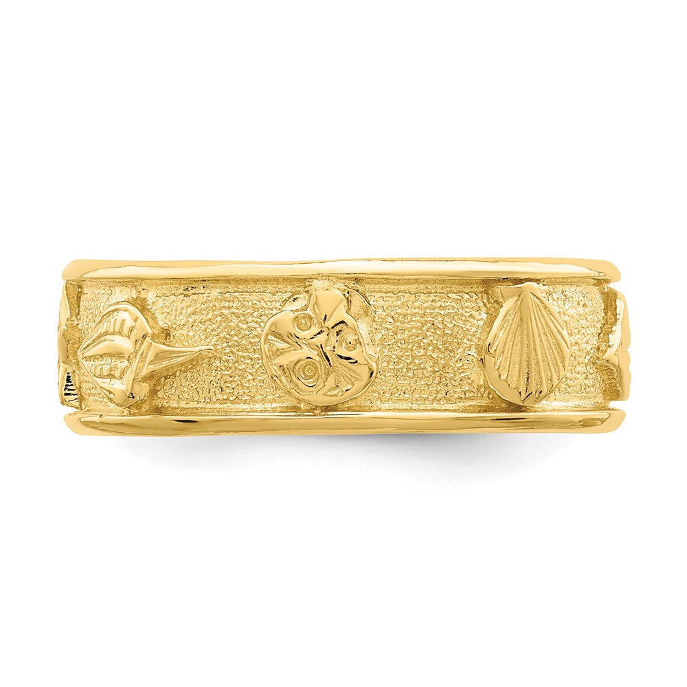 14K Yellow Gold Polished /Textured Shell Solid Band