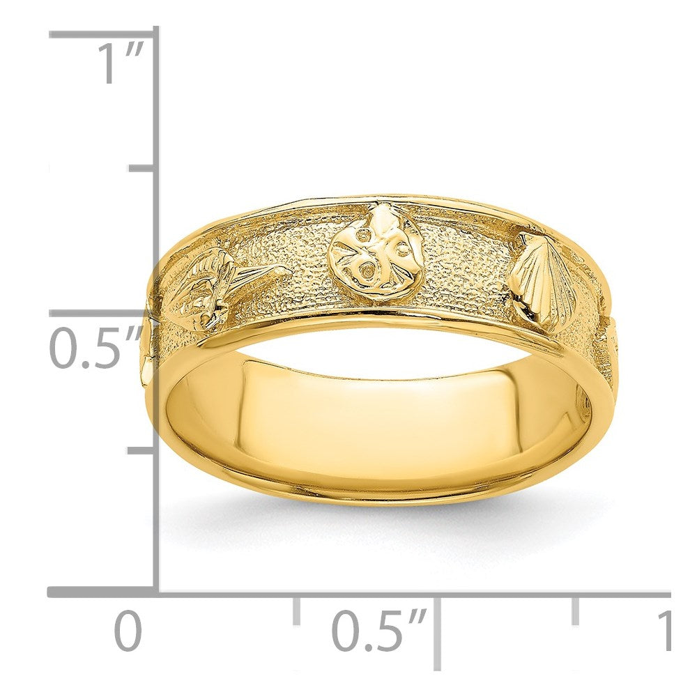14K Yellow Gold Polished /Textured Shell Solid Band