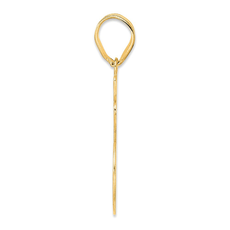 14k Yellow Gold Brushed Border Script Number 16 Pendant