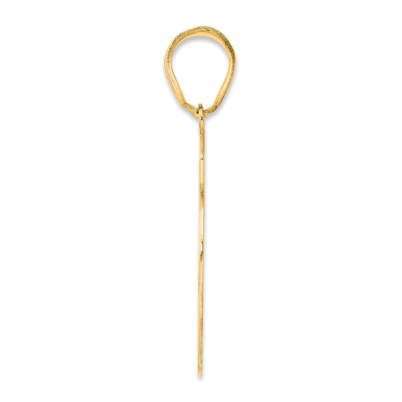 14k Yellow Gold Brushed Border Script Number 19 Pendant