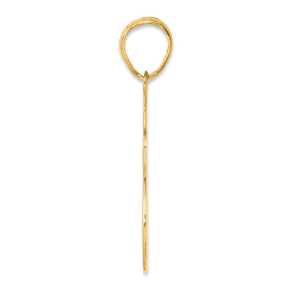 14k Yellow Gold Brushed Border Script Number 35 Pendant