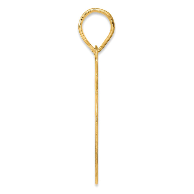 14k Yellow Gold Brushed Border Script Number 59 Pendant