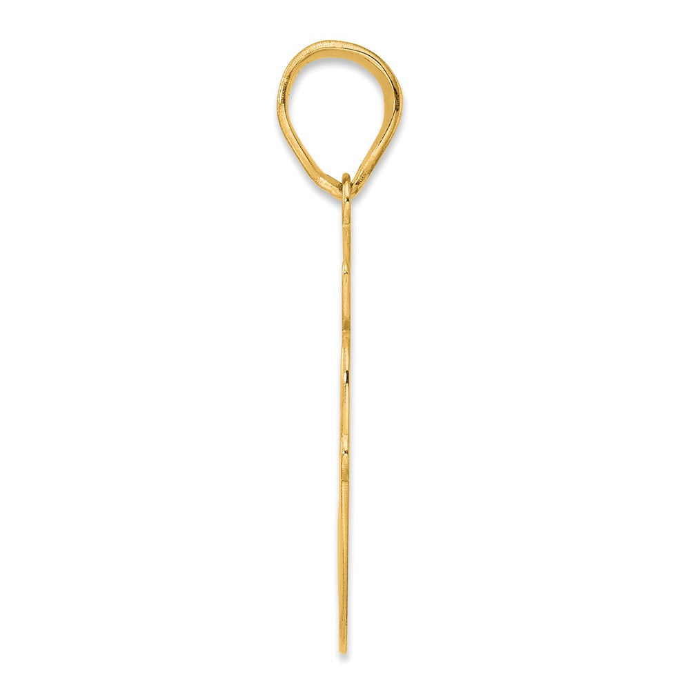 14k Yellow Gold Brushed Border Script Number 60 Pendant