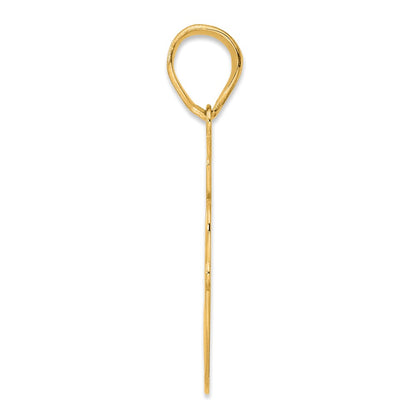 14k Yellow Gold Brushed Border Script Number 60 Pendant