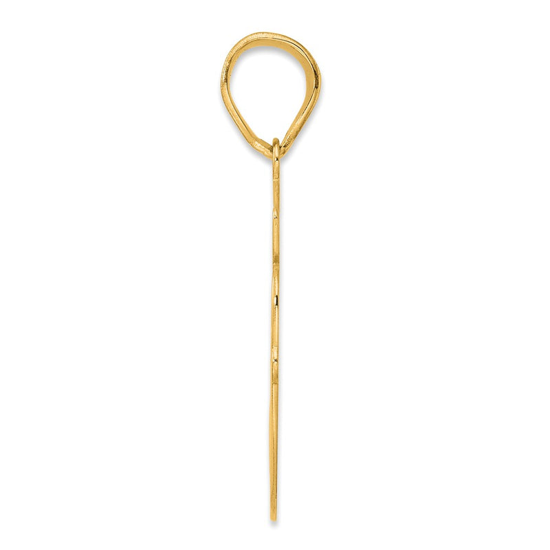 14k Yellow Gold Brushed Border Script Number 60 Pendant