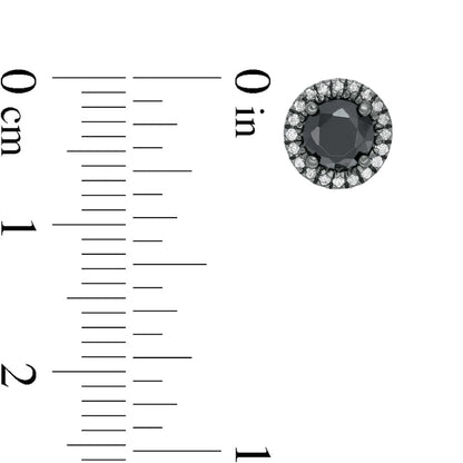 1.33 CT. T.W. Enhanced Black and White Diamond Frame Stud Earrings in 10K White Gold with Black Rhodium