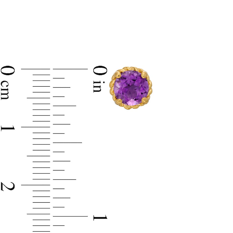 6.0mm Amethyst Solitaire Rope-Textured Frame Stud Earrings in Sterling Silver and 10K Gold
