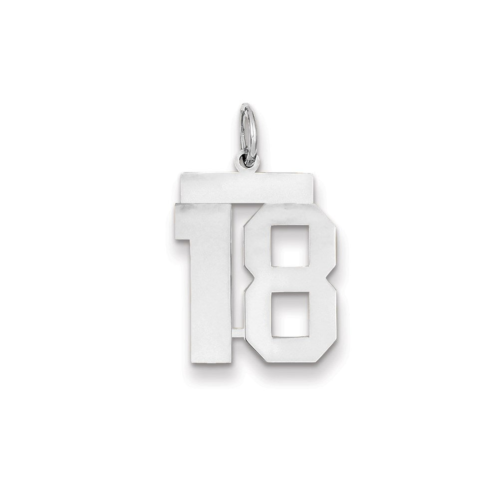 14k White Gold WG Medium Polished Number 18 Charm
