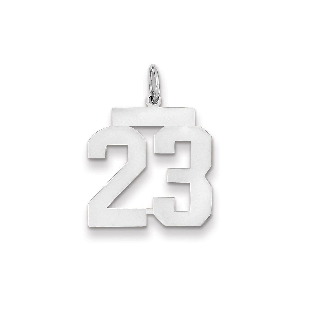 14k White Gold WG Medium Polished Number 23 Charm
