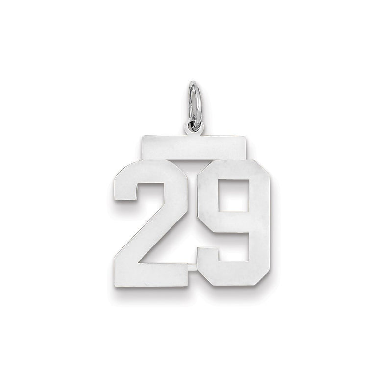 14k White Gold WG Medium Polished Number 29 Charm