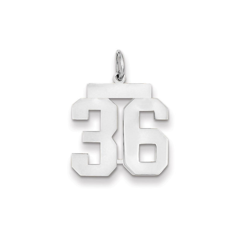 14k White Gold WG Medium Polished Number 36 Charm