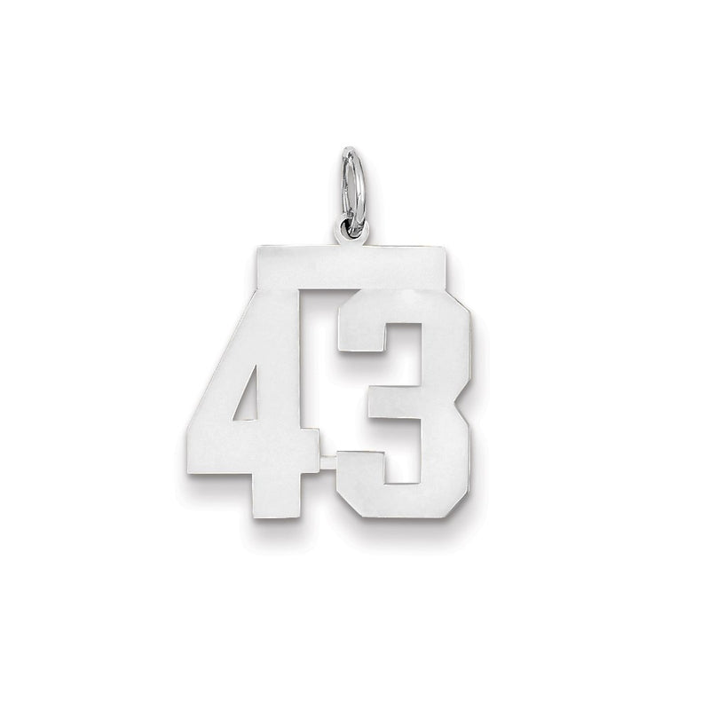 14k White Gold WG Medium Polished Number 43 Charm