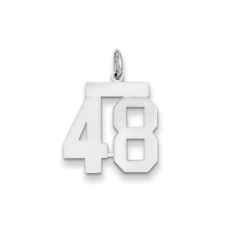 14k White Gold WG Medium Polished Number 48 Charm