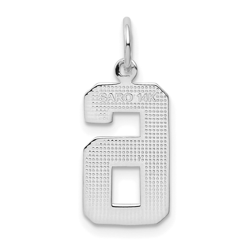 14k White Goldw Medium Polished Number 6 Charm