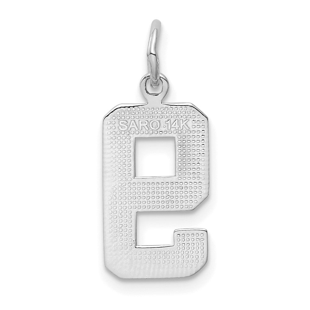 14k White Goldw Medium Polished Number 9 Charm