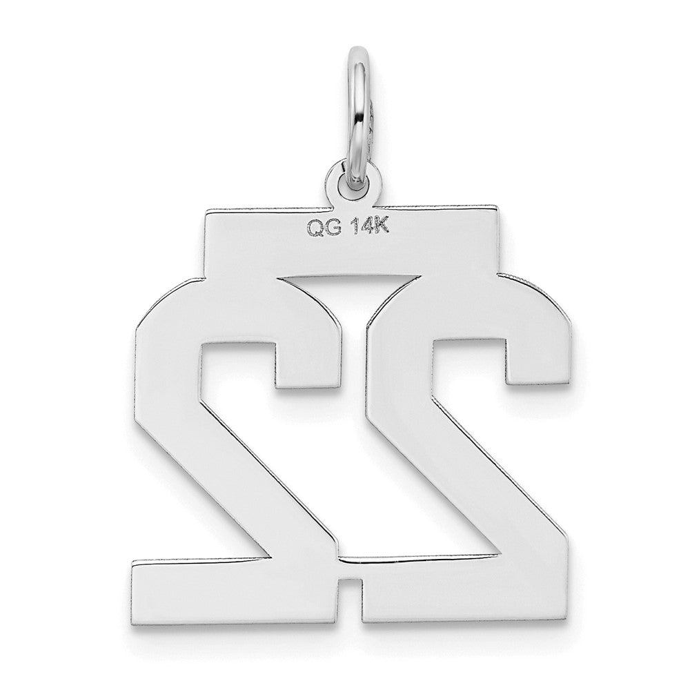 14k White Goldw Medium Satin Number 22 Charm