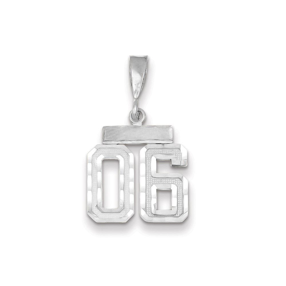 14k White Gold Small Diamond-cut Number 6 Charm