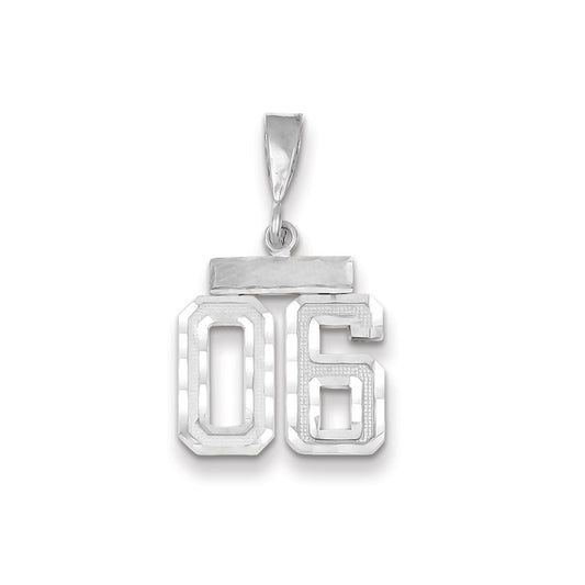 14k White Gold Small Diamond-cut Number 6 Charm