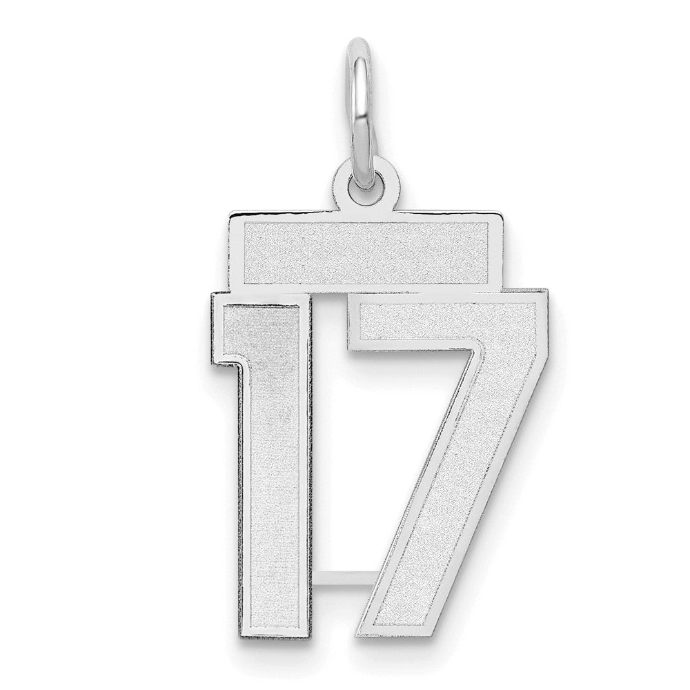 14k White Goldw Small Satin Number 17 Charm