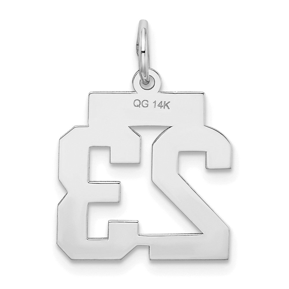 14k White Goldw Small Satin Number 23 Charm