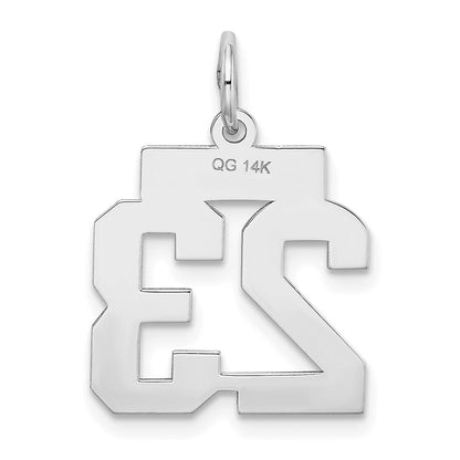 14k White Goldw Small Satin Number 23 Charm