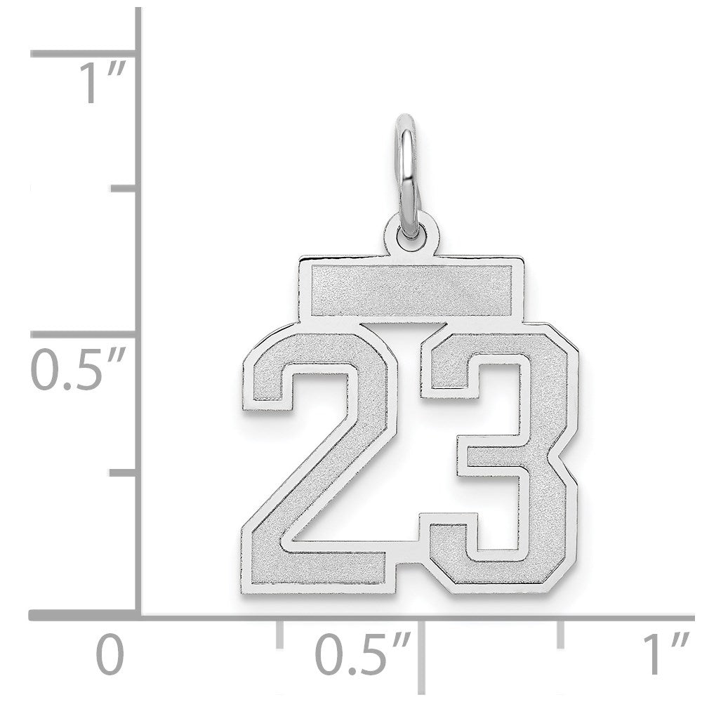 14k White Goldw Small Satin Number 23 Charm