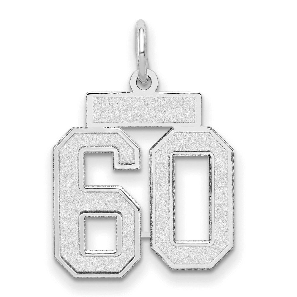 14k White Goldw Small Satin Number 60 Charm