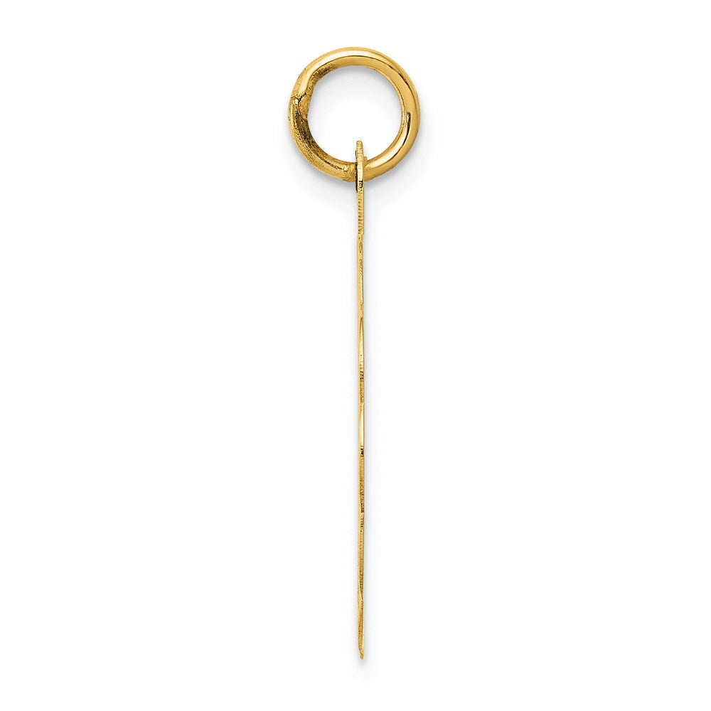14k Yellow Gold 25th ANNIVERSARY Disc Charm