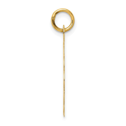 14k Yellow Gold 25th ANNIVERSARY Disc Charm
