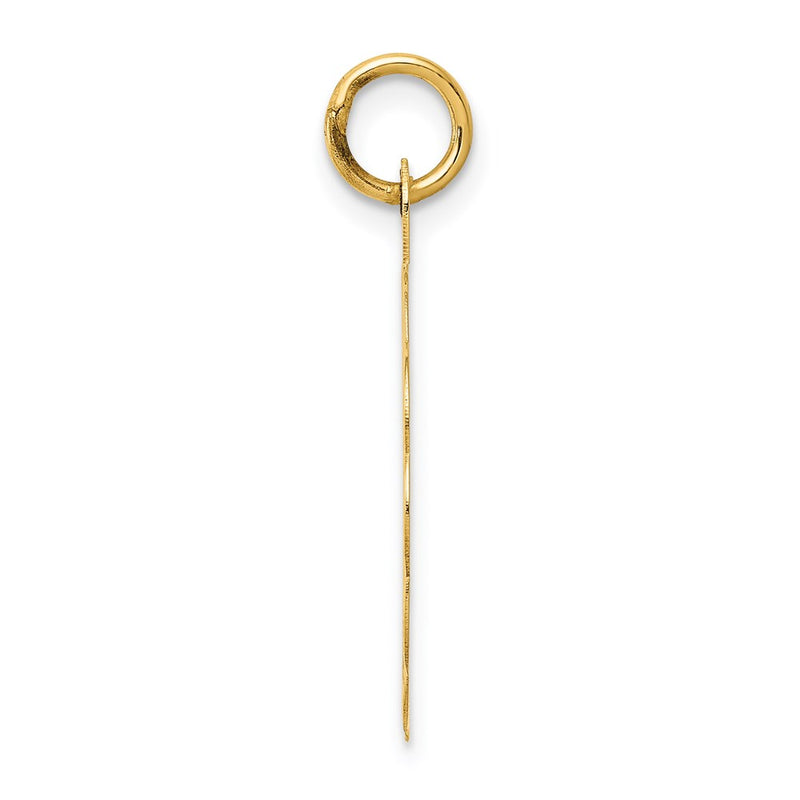 14k Yellow Gold 25th ANNIVERSARY Disc Charm