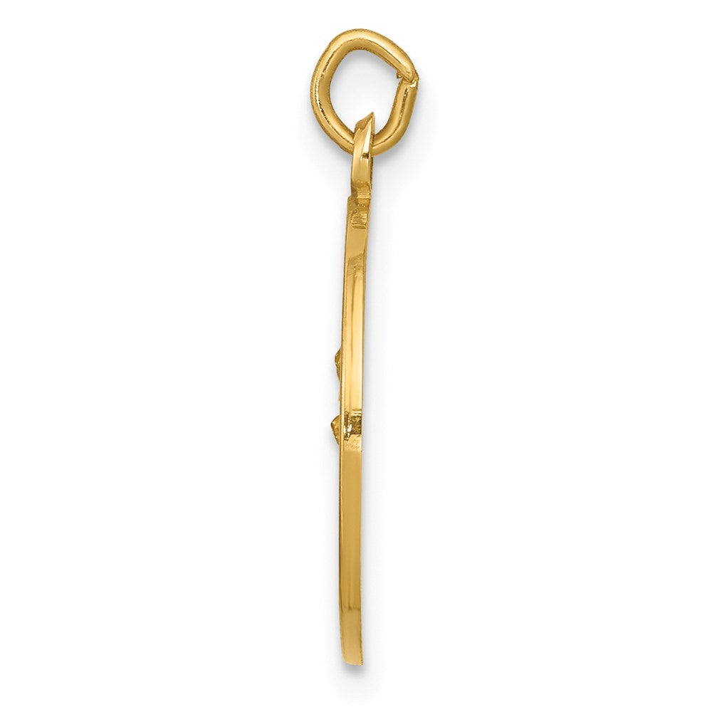 14k Yellow Gold Our Lady of Perpetual Help Medal Charm