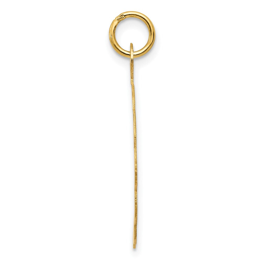 14k Yellow Gold A DATE TO REMEMBER Disc Charm