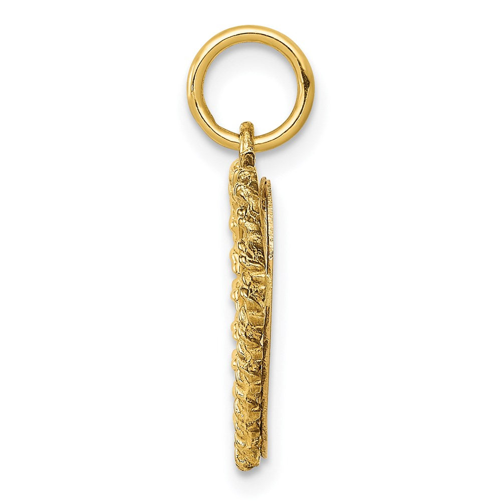 14k Yellow Gold #1 GRANDDAUGHTER Disc Charm