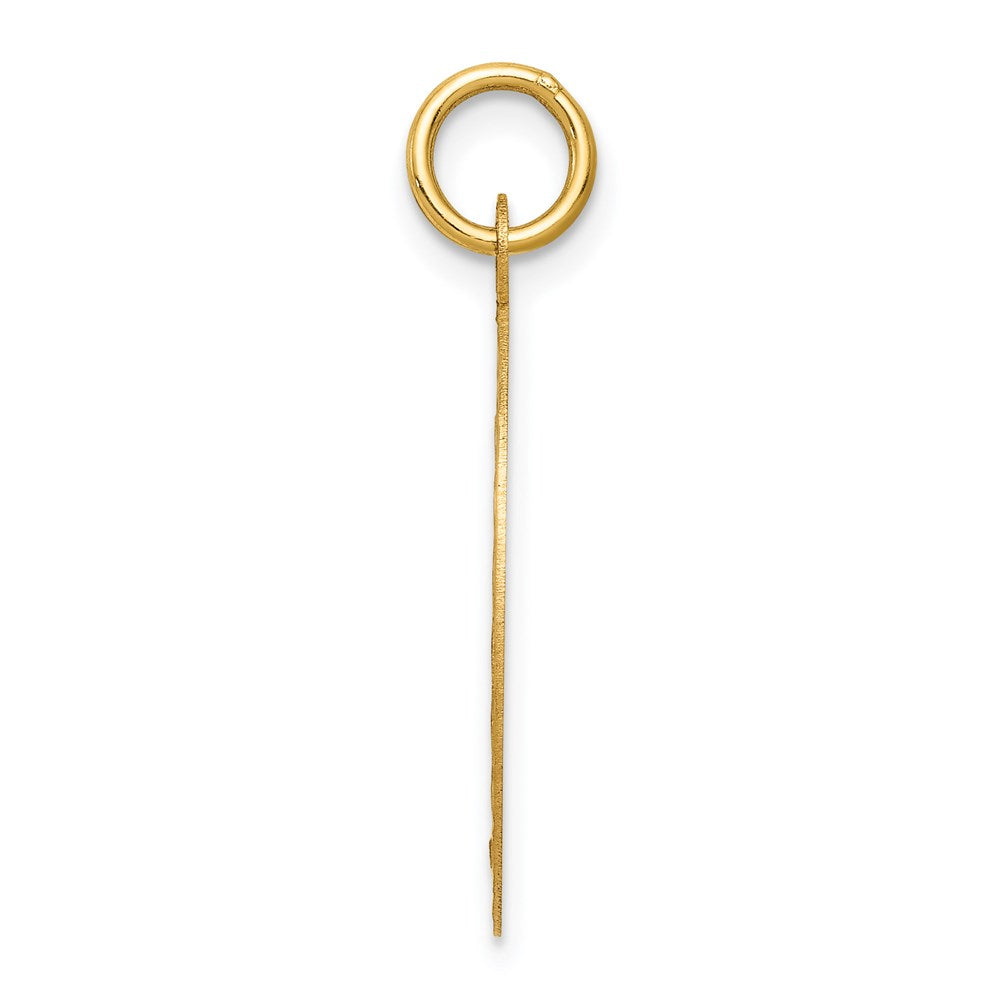 14k Yellow Gold Confirmation Disc Charm