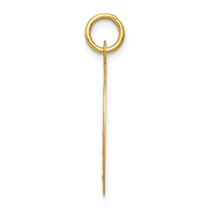 14k Yellow Gold Confirmation Disc Charm