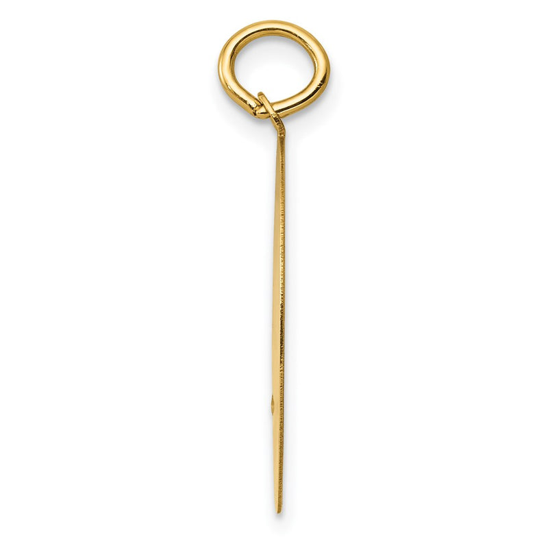 14k Yellow Gold Golden Retriever Disc Charm