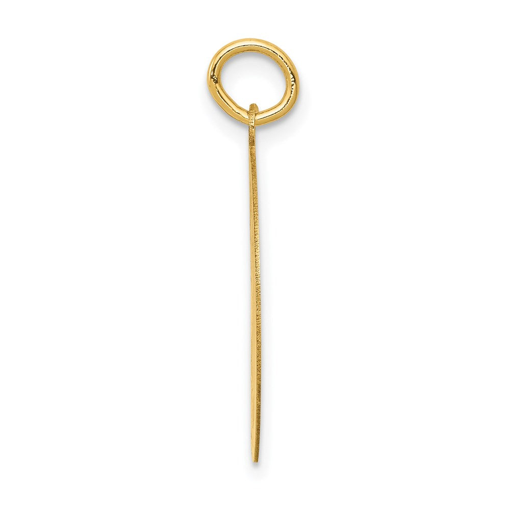 14k Yellow Gold Siberian Husky Disc Charm