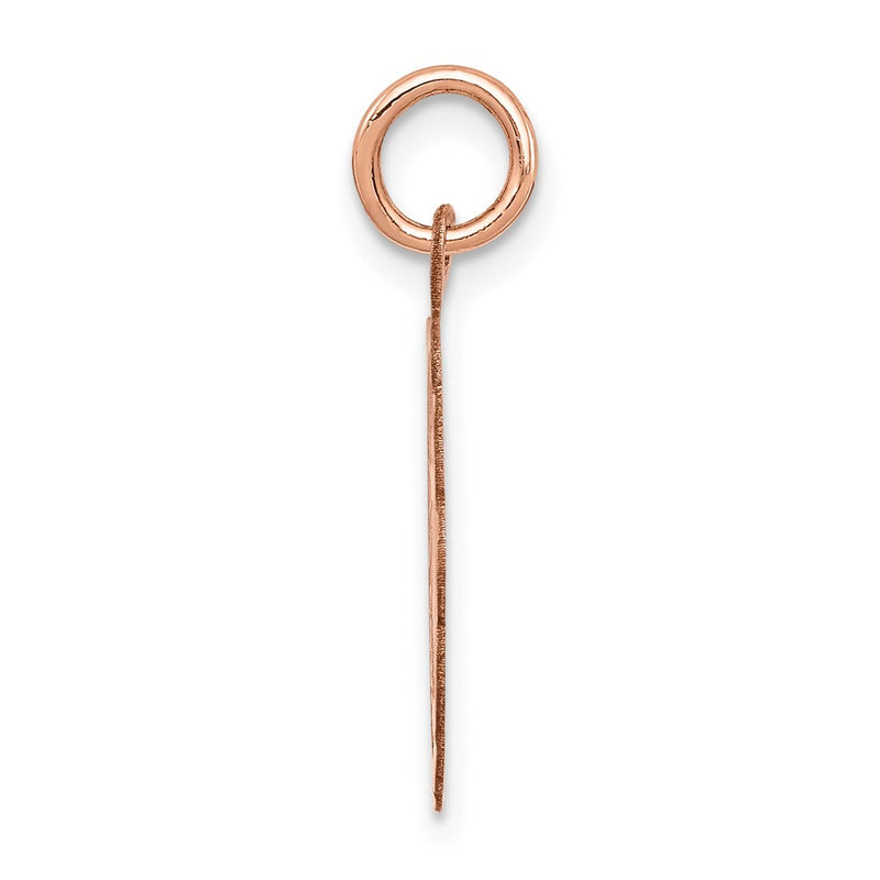 14k Rose Gold Confirmation Disc Charm