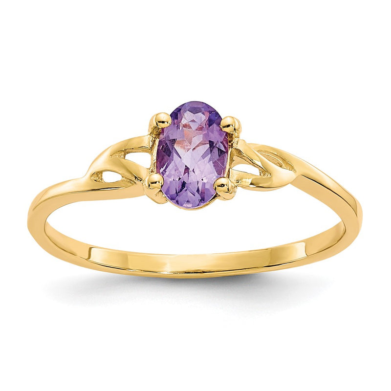 14K Yellow Gold Amethyst Birthstone Ring