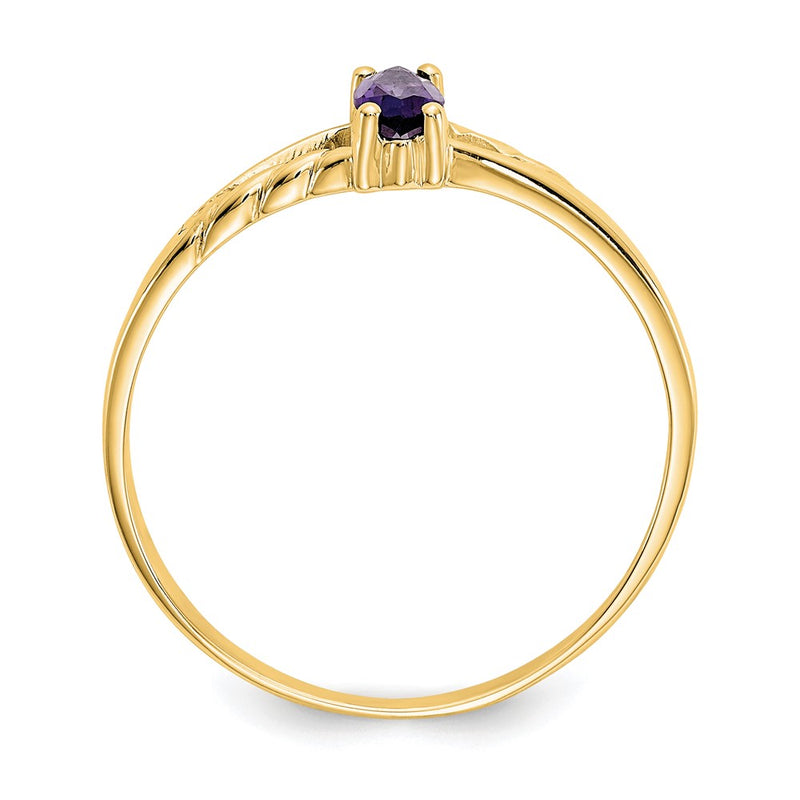 14K Yellow Gold Amethyst Birthstone Ring