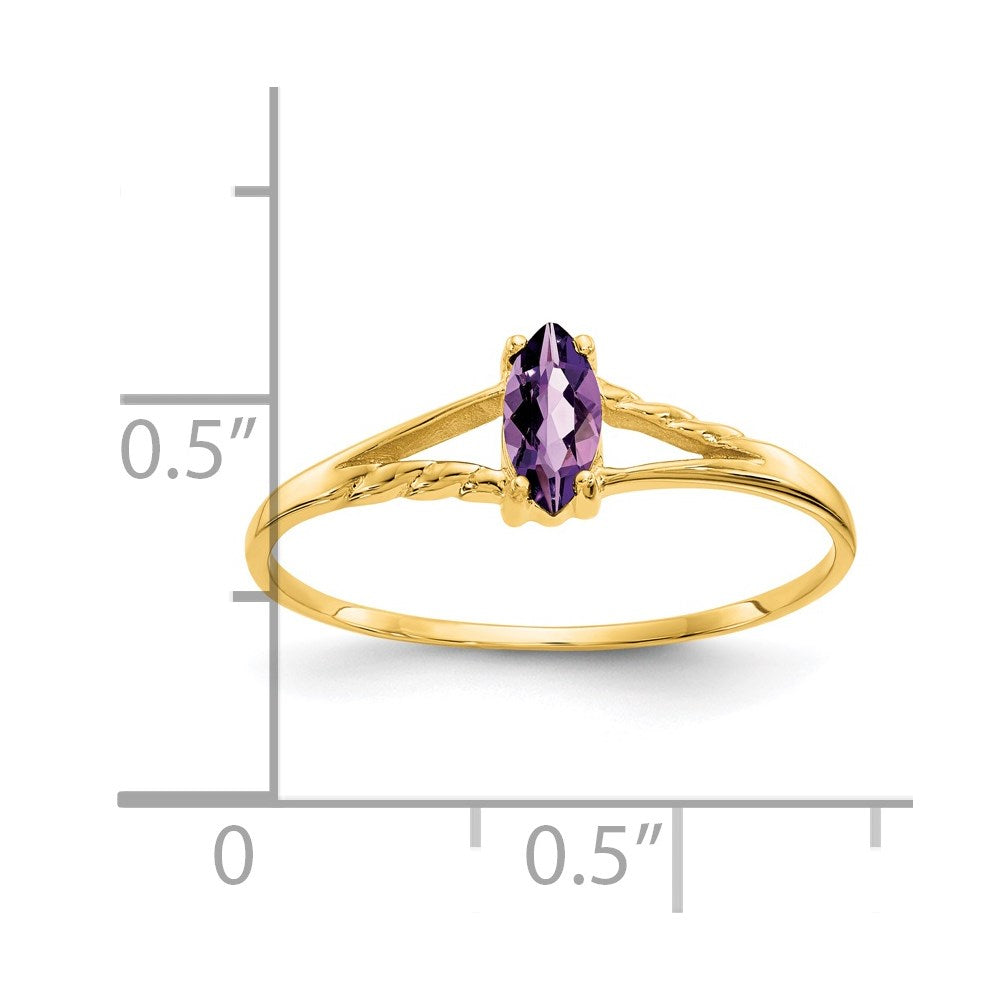 14K Yellow Gold Amethyst Birthstone Ring