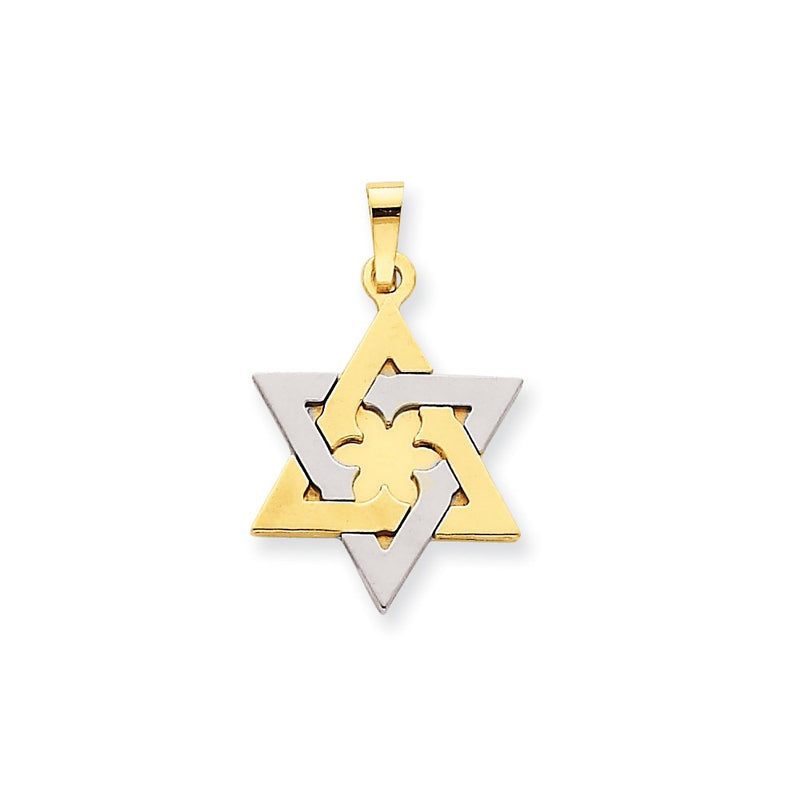 14k Two-tone Gold Star of David