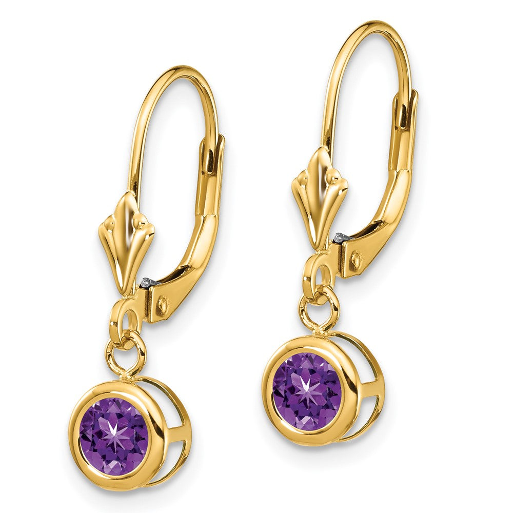 14k Yellow Gold 5mm Amethyst Leverback Earring