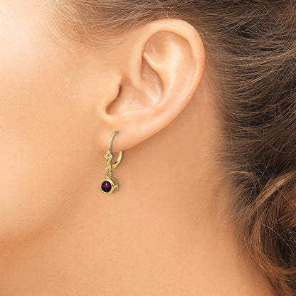 14k Yellow Gold 5mm Rhodolite Garnet Leverback Earrings
