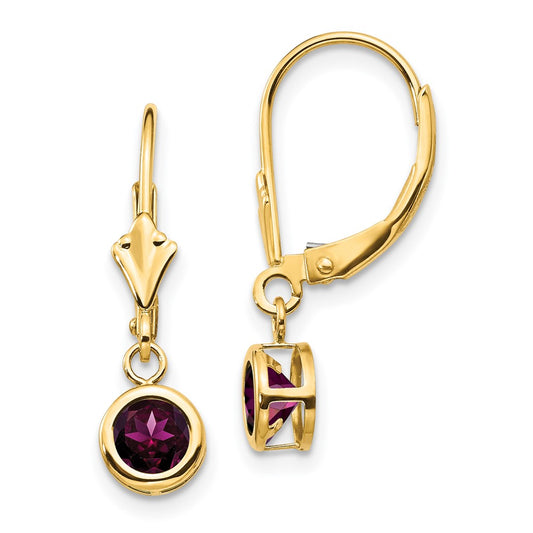 14k Yellow Gold 5mm Rhodolite Garnet Leverback Earrings