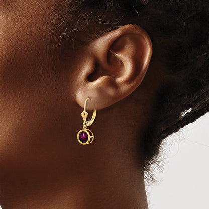 14k Yellow Gold 6mm Rhodolite Garnet Leverback Earring