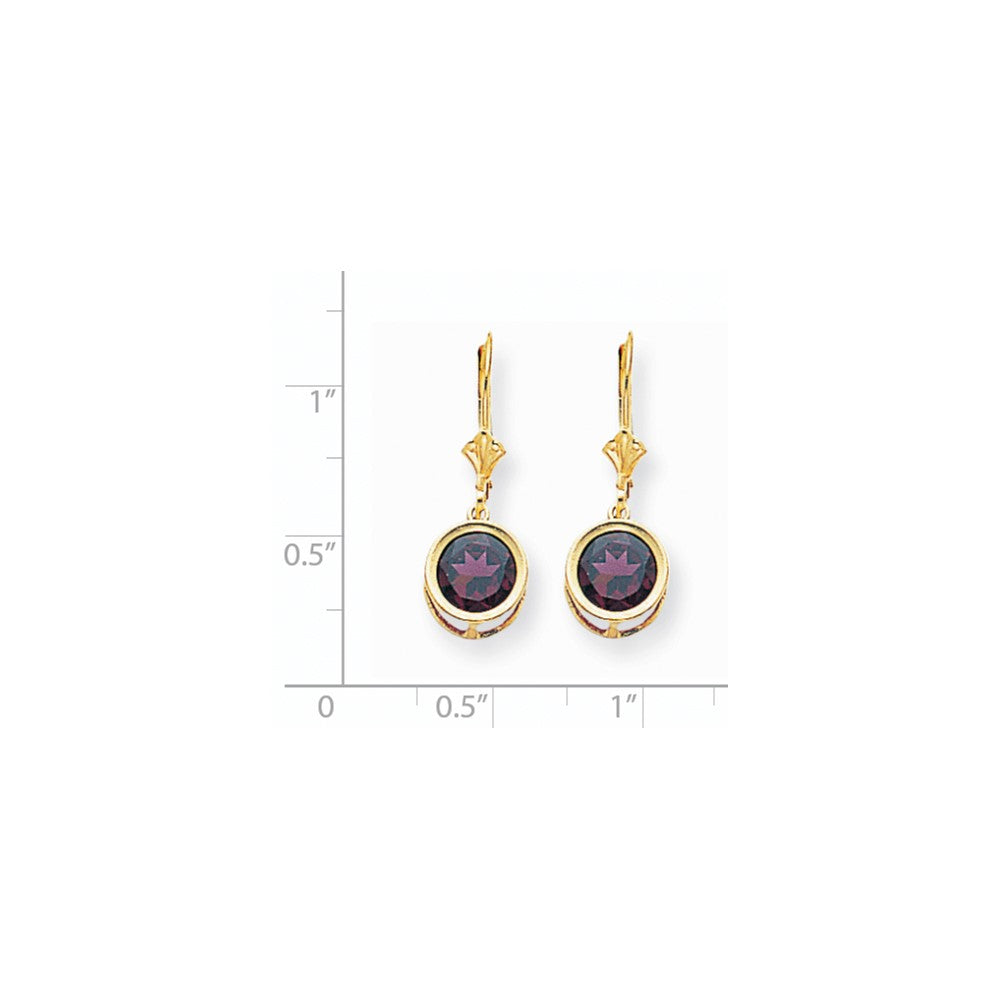 14k Yellow Gold 8mm Rhodolite Garnet Leverback Earrings