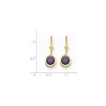 14k Yellow Gold 8mm Rhodolite Garnet Leverback Earrings