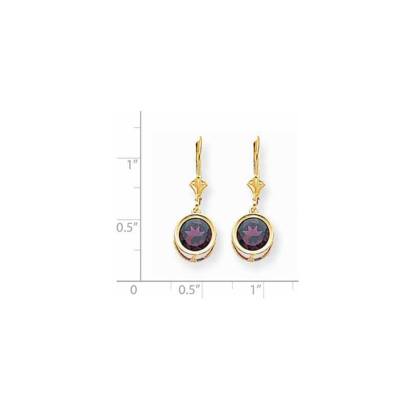 14k Yellow Gold 8mm Rhodolite Garnet Leverback Earrings